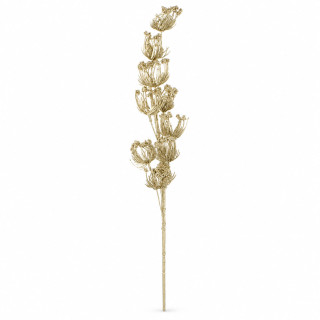 Daucus 70 cm šampaň